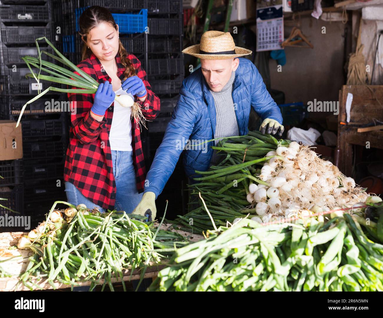 Woman farmer plants onions hi-res stock photography and images - Alamy