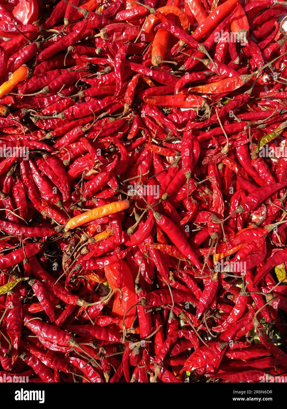 Lots of green chillies hi-res stock photography and images - Alamy