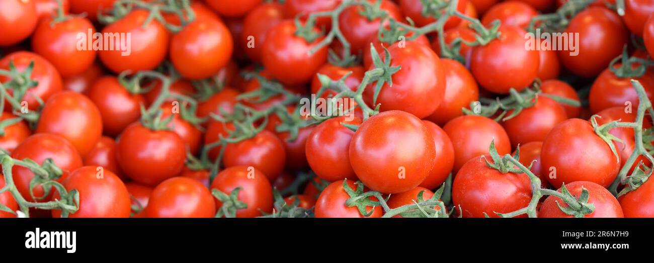 Tomato Cherry Ripe Fresh ripe cherry tomatoes with green leaves on market showcase Stock ...