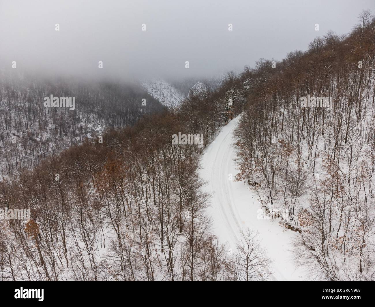 Aerial flight over morning wood hi-res stock photography and images - Alamy
