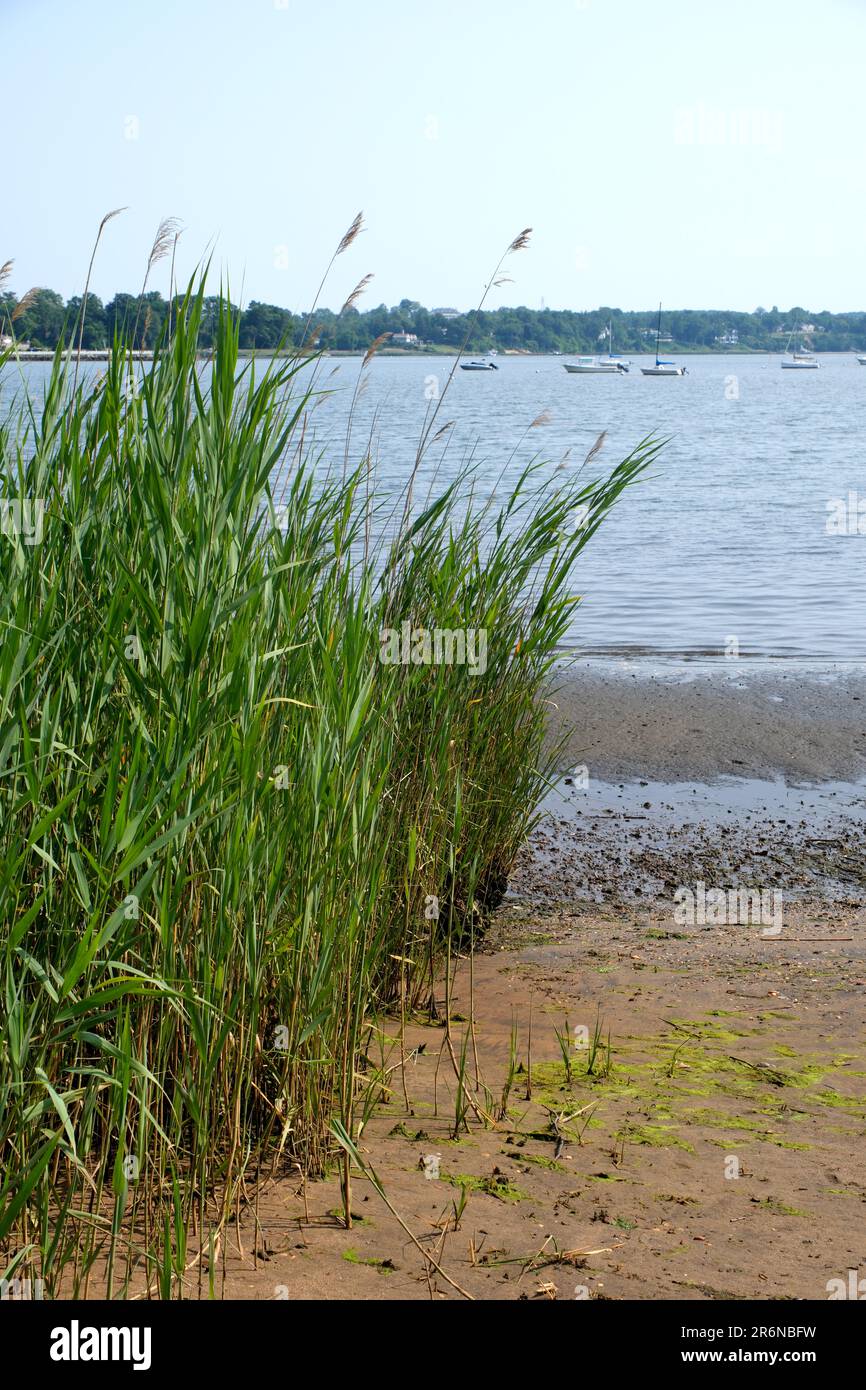 A view of the Navesink river in Red Bank New Jersey Stock Photo Alamy