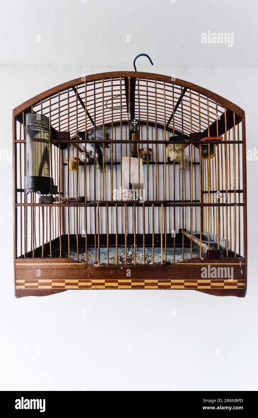 An antiquated wooden birdcage containing a small animal perched atop, displaying a nostalgic atmosphere Stock Photo