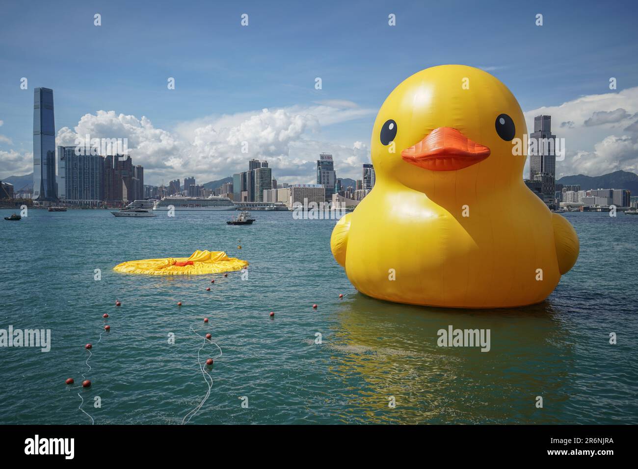 Hong Kong. 10th June 2023. An enormous inflatable duck stations at Victoria Harbour while one is deflated. Starting from June 10th, 2023, the highly anticipated art exhibition named 'Double Ducks,' created by Dutch artist Florentijn Hofman, officially opens to the public at Victoria Harbour in Hong Kong. The exhibition features two enormous inflatable ducks and marks the second visit of the giant inflatable duck to Hong Kong, with the first one having taken place a decade ago. Unfortunately, the organizers have to deflate one of the ducks due to Hong Kong's hot weather in the afternoon on June Stock Photo