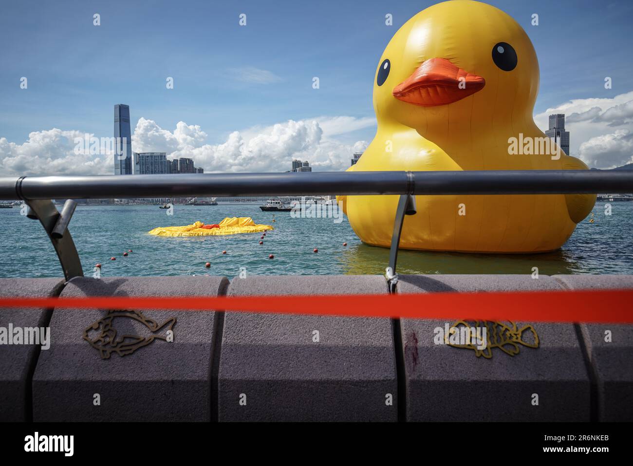 An enormous inflatable duck stations at Victoria Harbour while one is deflated. Starting from June 10th, 2023, the highly anticipated art exhibition named 'Double Ducks,' created by Dutch artist Florentijn Hofman, officially opens to the public at Victoria Harbour in Hong Kong. The exhibition features two enormous inflatable ducks and marks the second visit of the giant inflatable duck to Hong Kong, with the first one having taken place a decade ago. Unfortunately, the organizers have to deflate one of the ducks due to Hong Kong's hot weather in the afternoon on June 10th. (Photo by Michael Ho Stock Photo