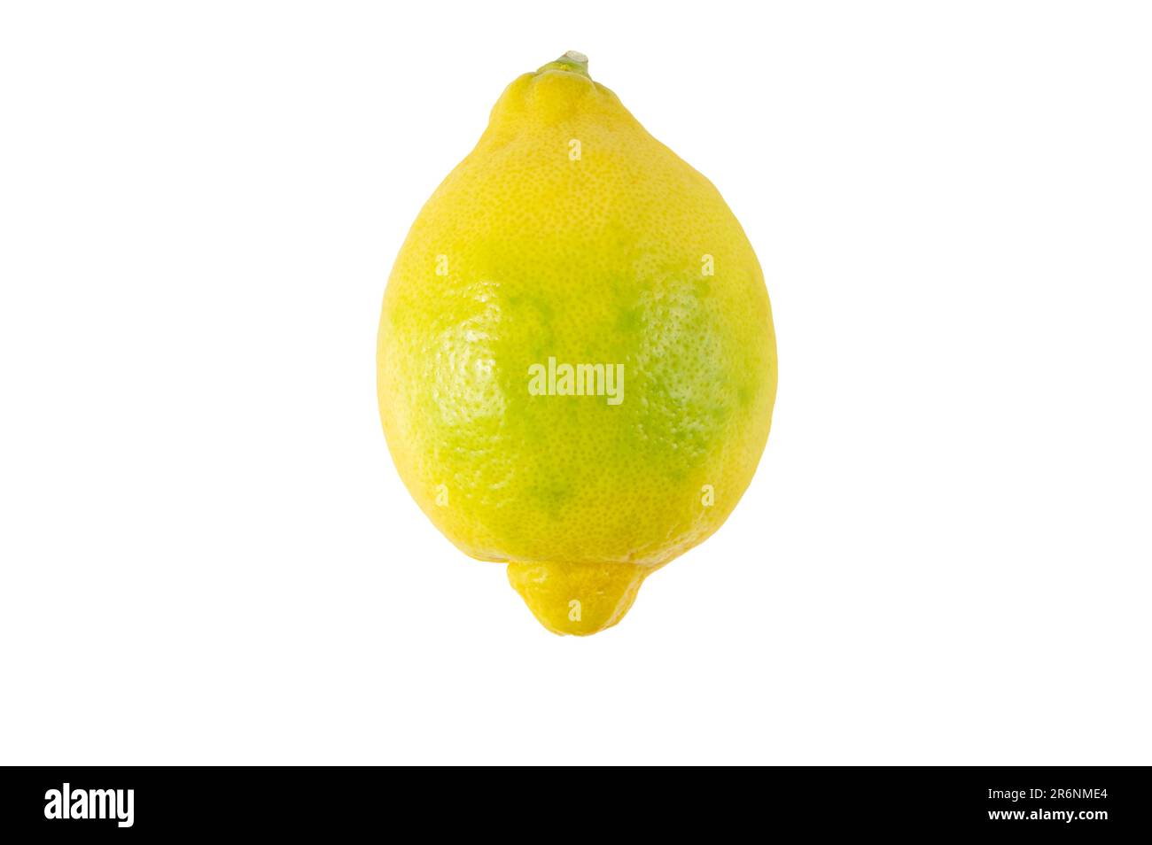 Yellow green lemon fruit isolated on white. whole citrus limon. Stock Photo