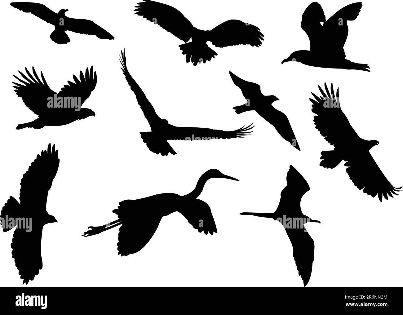 birds silhouette collection vector Stock Vector Image & Art - Alamy