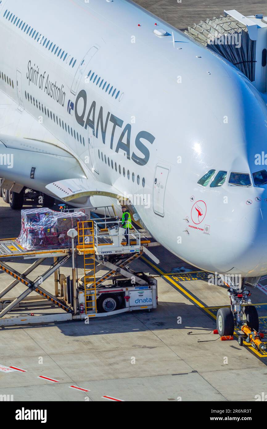 Cargo loading of a Qantas A380 passenger jet at Sydney (Kingsford Smith ...