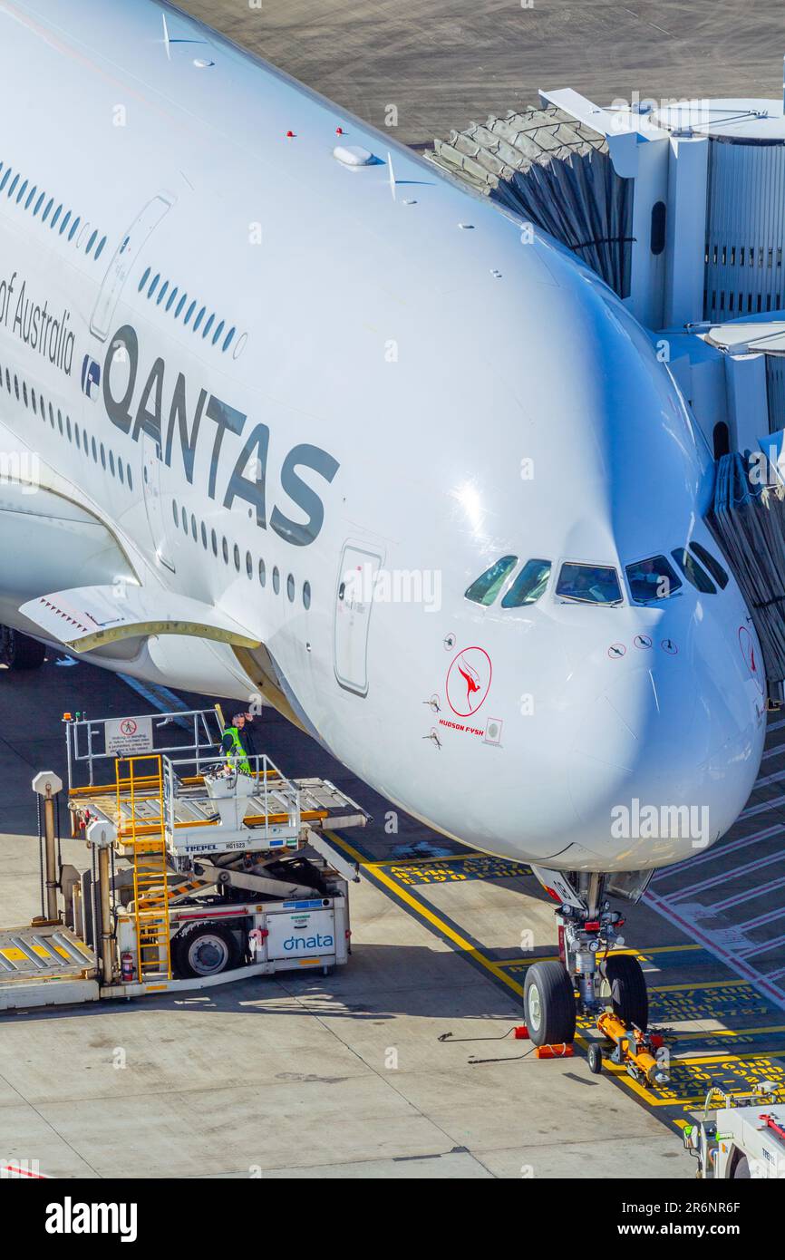 Cargo loading of a Qantas A380 passenger jet at Sydney (Kingsford Smith ...