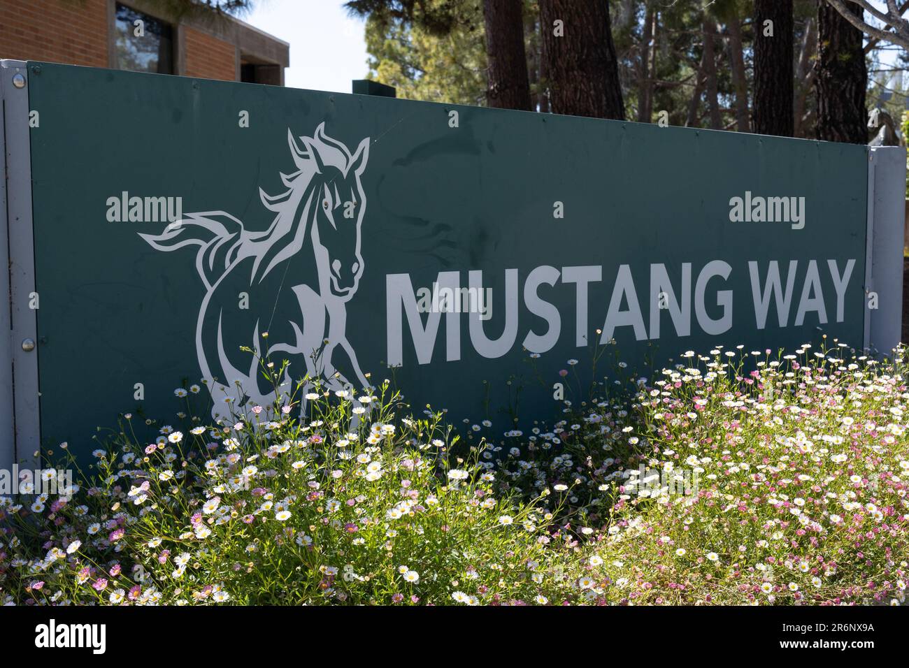Mustang Way sign on the campus of California Polytechnic State