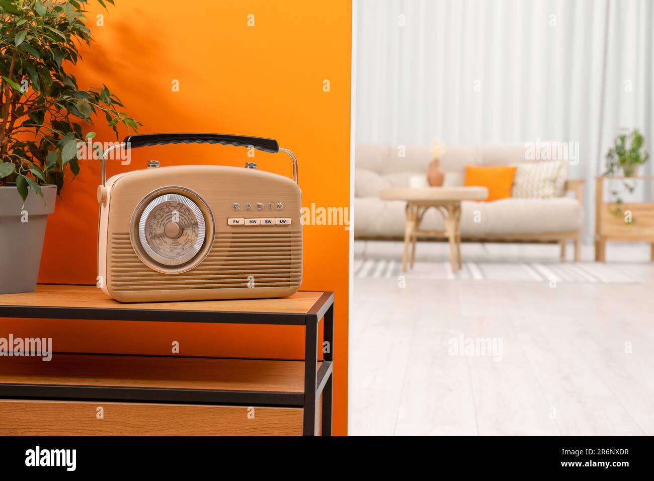 Retro radio receiver and houseplant on console table in stylish hallway ...
