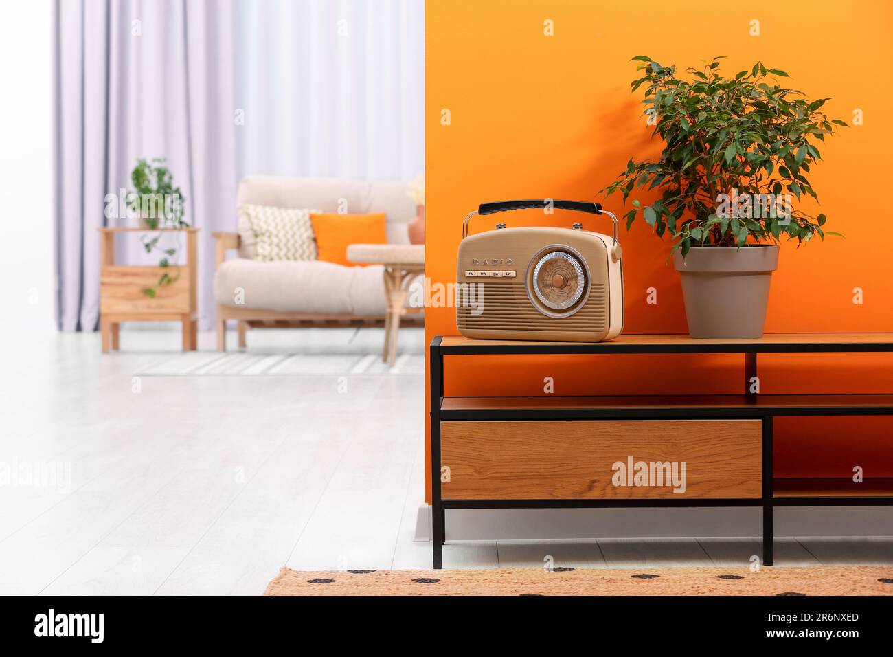 Retro radio receiver and houseplant on console table in stylish hallway ...