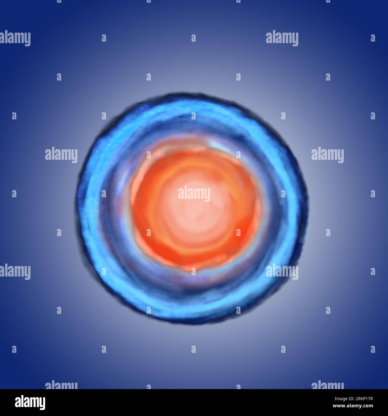 Ovum (egg cell) on blue background, illustration Stock Photo