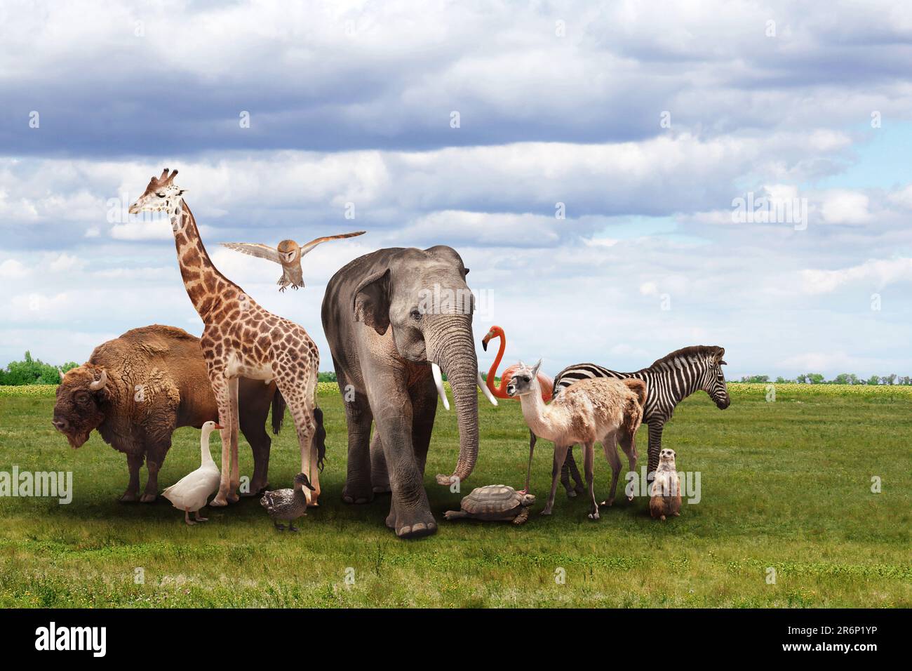 Many different animals on green grass under cloudy sky Stock Photo