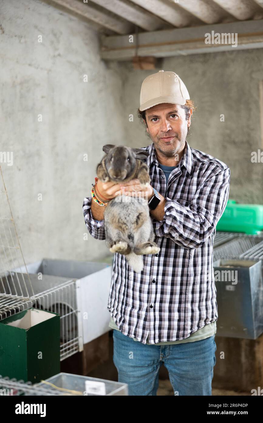 Rabbit rearing hi-res stock photography and images - Alamy