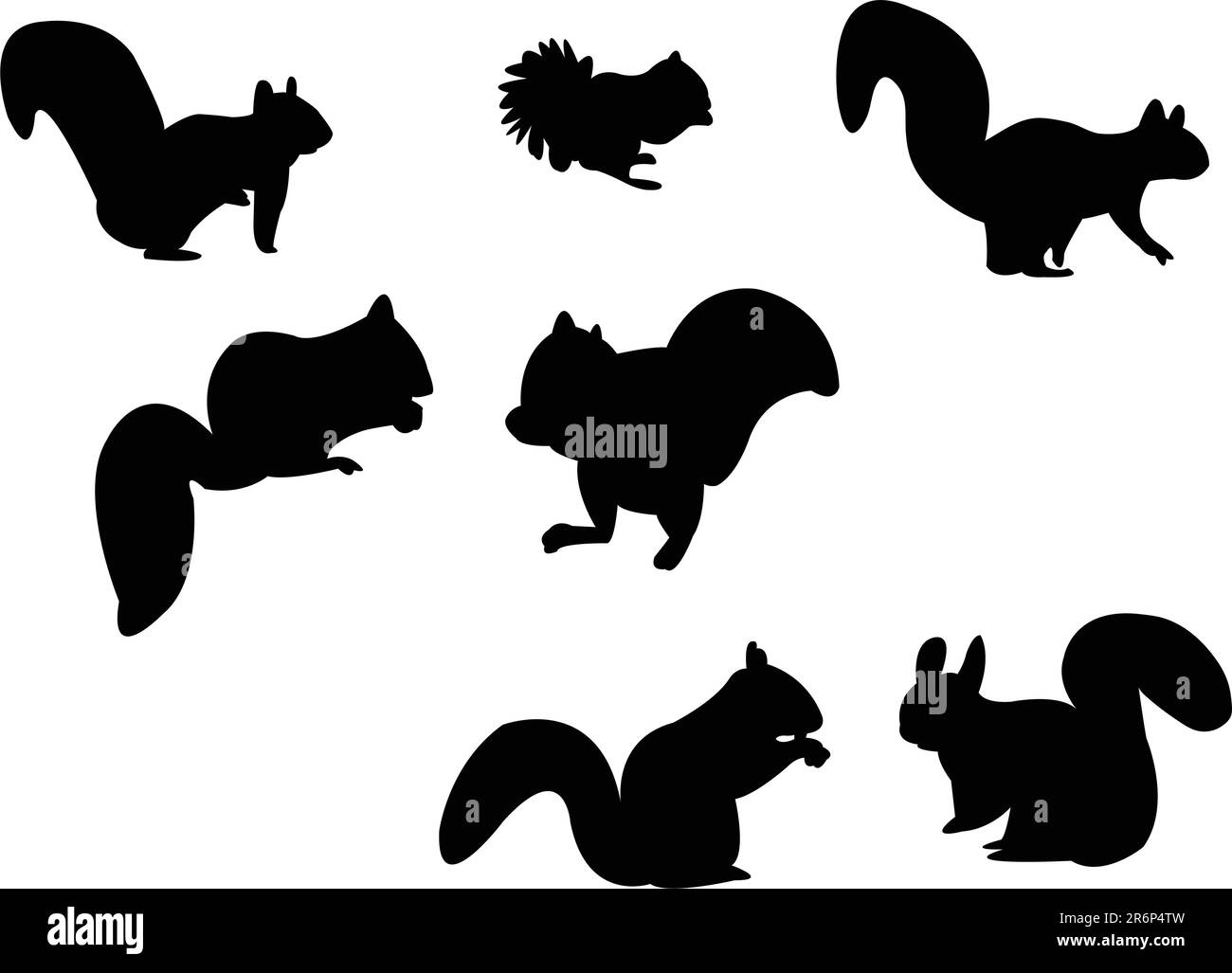 squirrel silhouette - vector Stock Vector