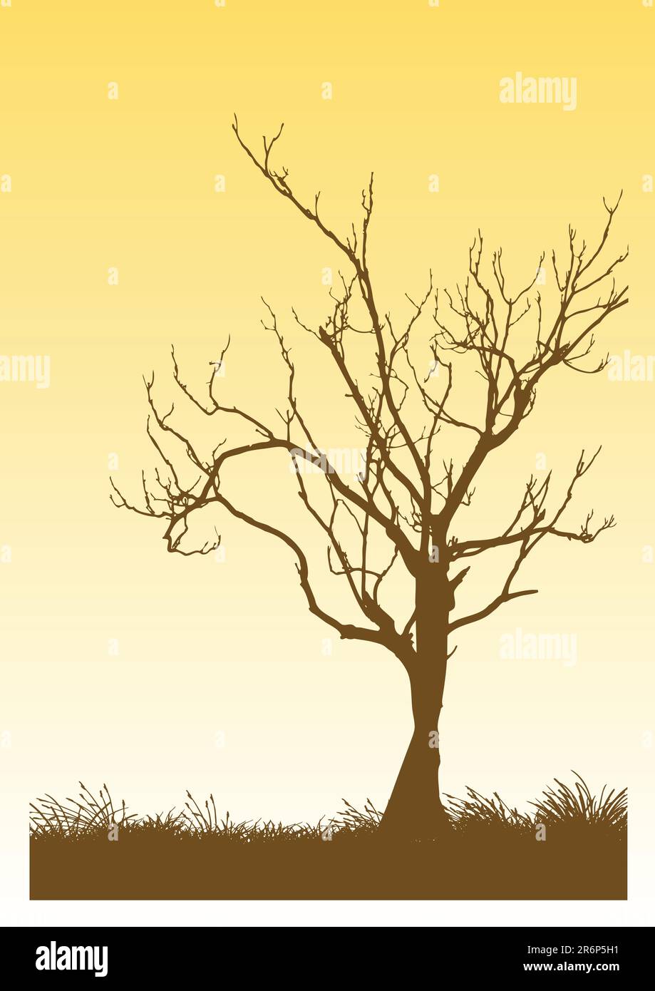 vector illustration of a tree Stock Vector Image & Art - Alamy