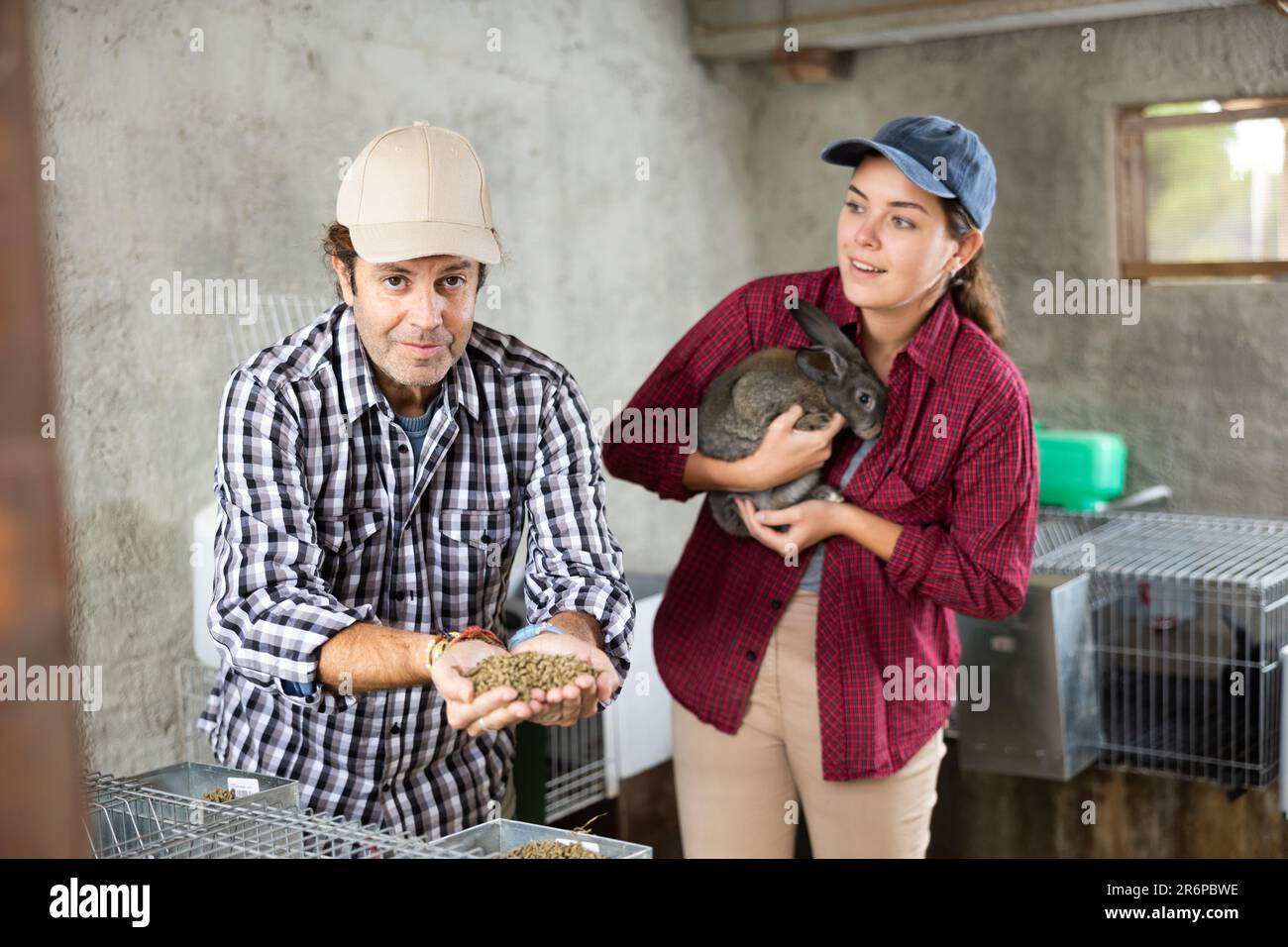 Family business man and woman breed rabbits on farm Stock Photo Alamy