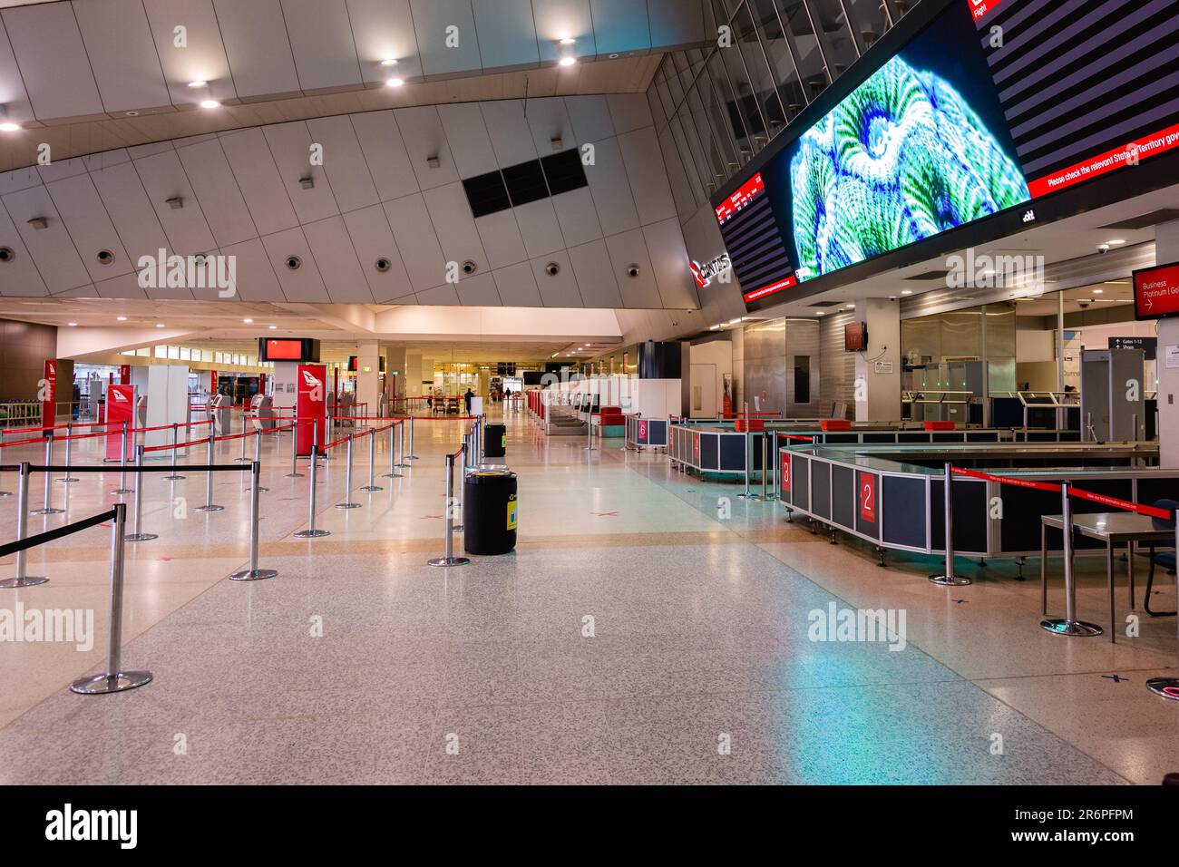 Passenger numbers are down 98 at Melbourne International Airport leaving the Qantas domestic