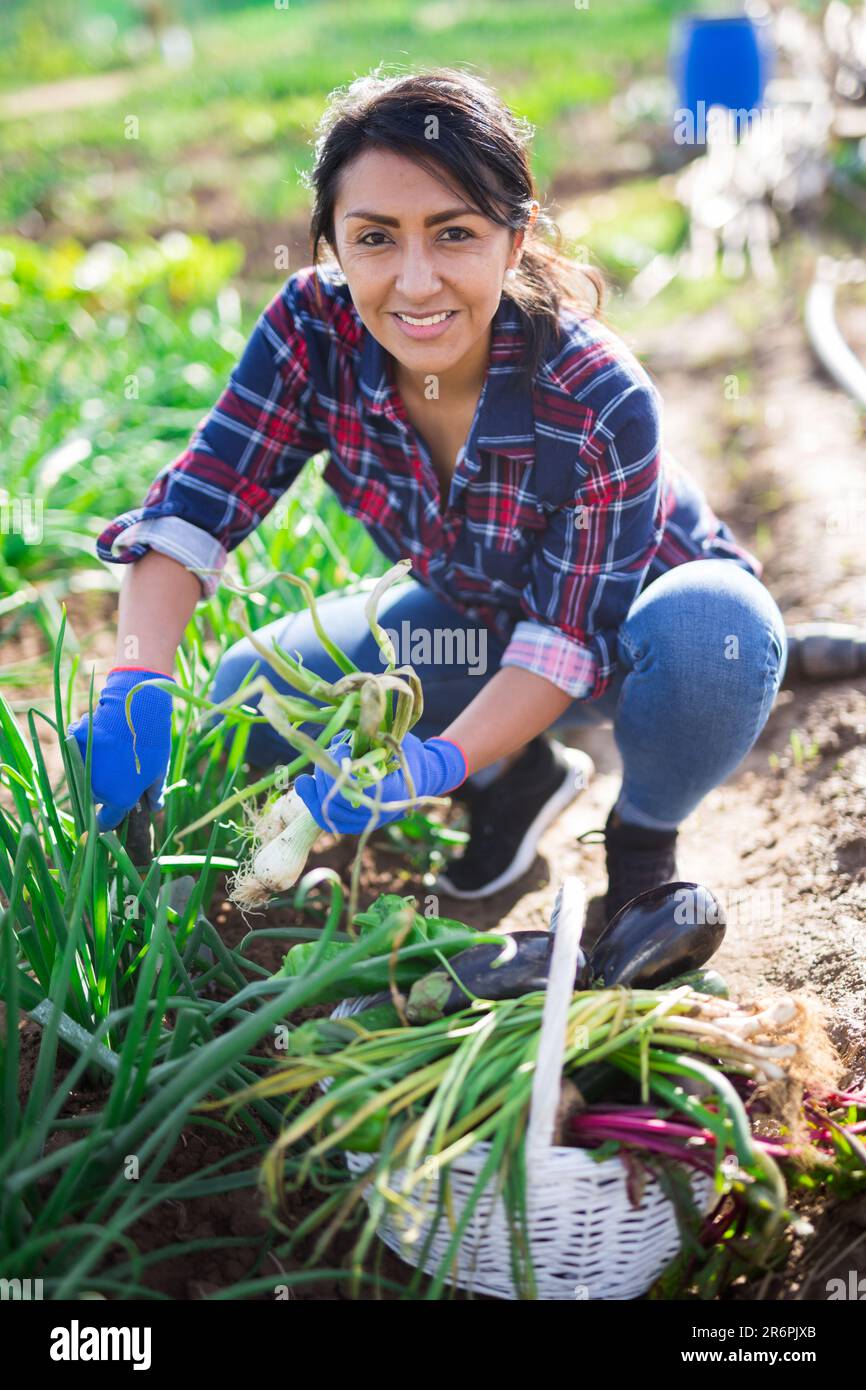 Multicultural vegetable garden hi-res stock photography and images - Alamy