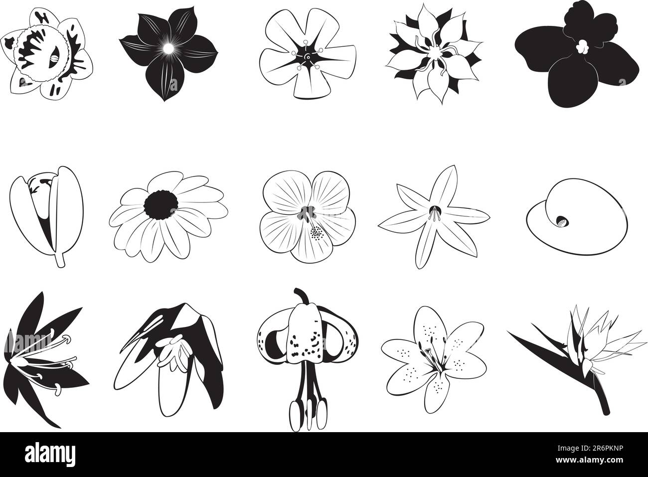Collection of smooth vector EPS illustrations of various flowers Stock ...