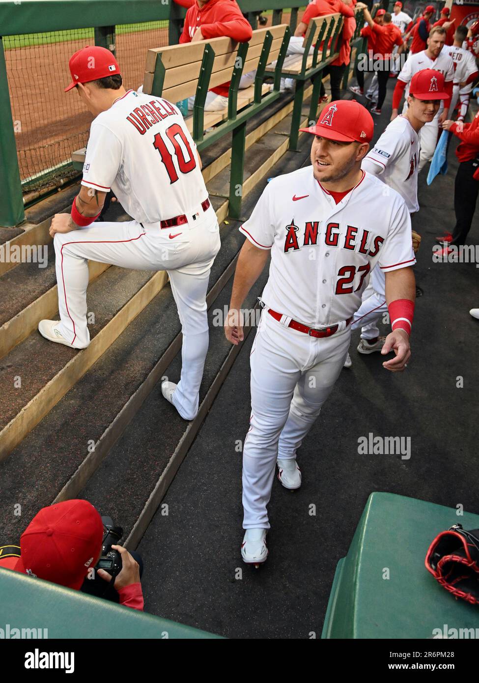 ANAHEIM, CA - JUNE 10: Los Angeles Angels center fielder Mike Trout (27) in  the dugout with his teammates before the start of an MLB baseball game  against the Seattle Mariners played