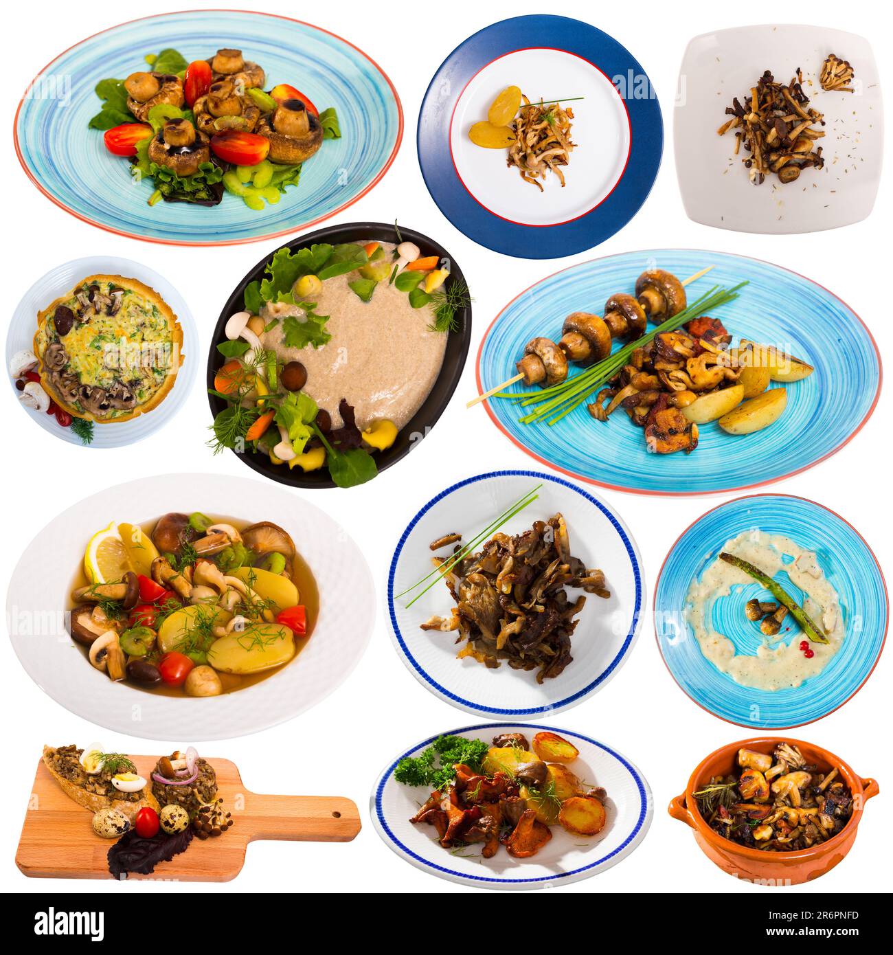 Collection of mushroom dishes on white background Stock Photo - Alamy