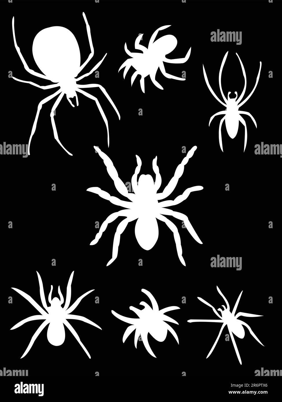 collection of spiders on black background silhouette - vector Stock Vector