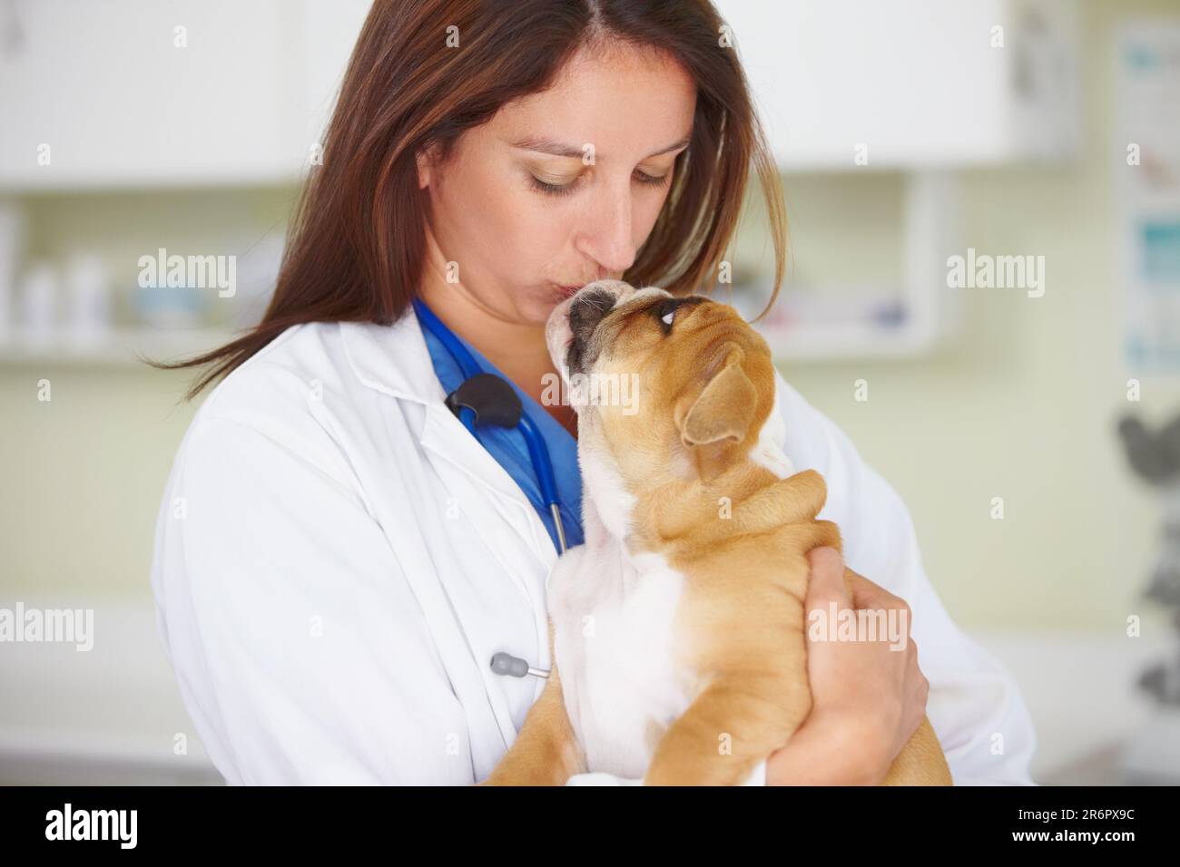 Woman vet, puppy and kiss in hospital, care and love for health, wellness or growth of animal. Female veterinarian, doctor and dog with hug, happiness Stock Photo
