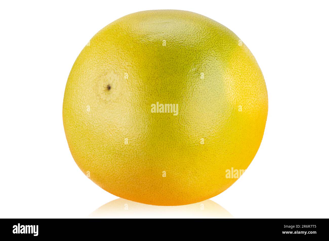 Fresh whole lemon. Source of vitamin C. Isolated on white background