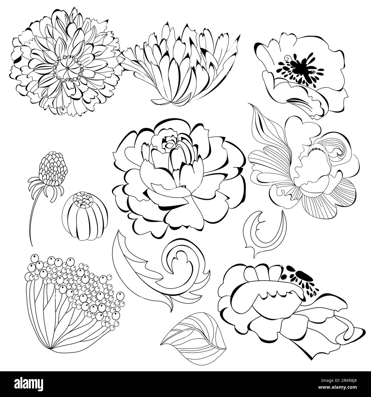 Set of flowers Stock Vector Image & Art - Alamy