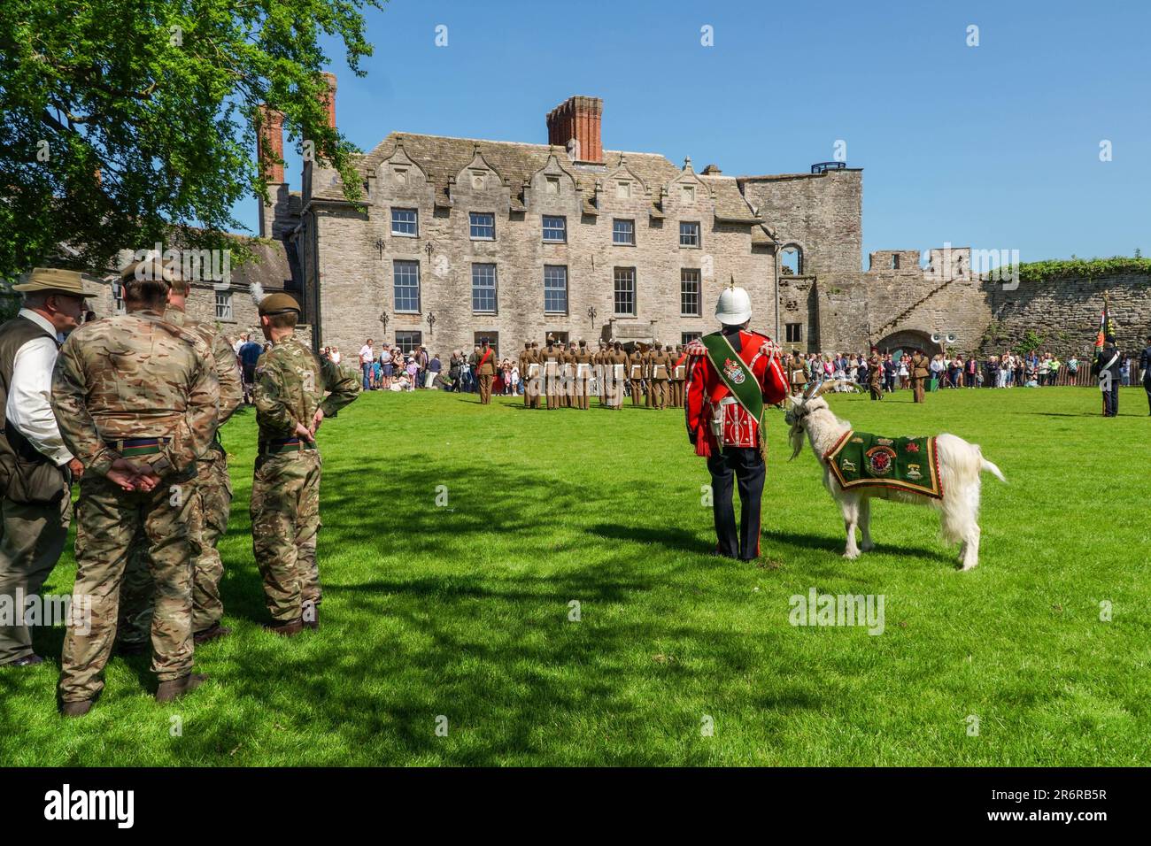Royal Welsh Guards with mascot celebrate the reaffirmation for their Freedom of the County in the grounds of Hay Castle Powys Wales UK. May 2023 Stock Photo