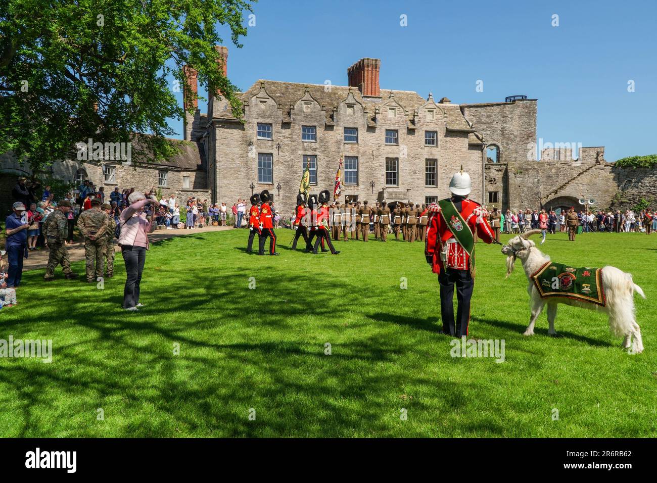 Royal Welsh Guards with mascot celebrate the reaffirmation for their Freedom of the County in the grounds of Hay Castle Powys Wales UK. May 2023 Stock Photo