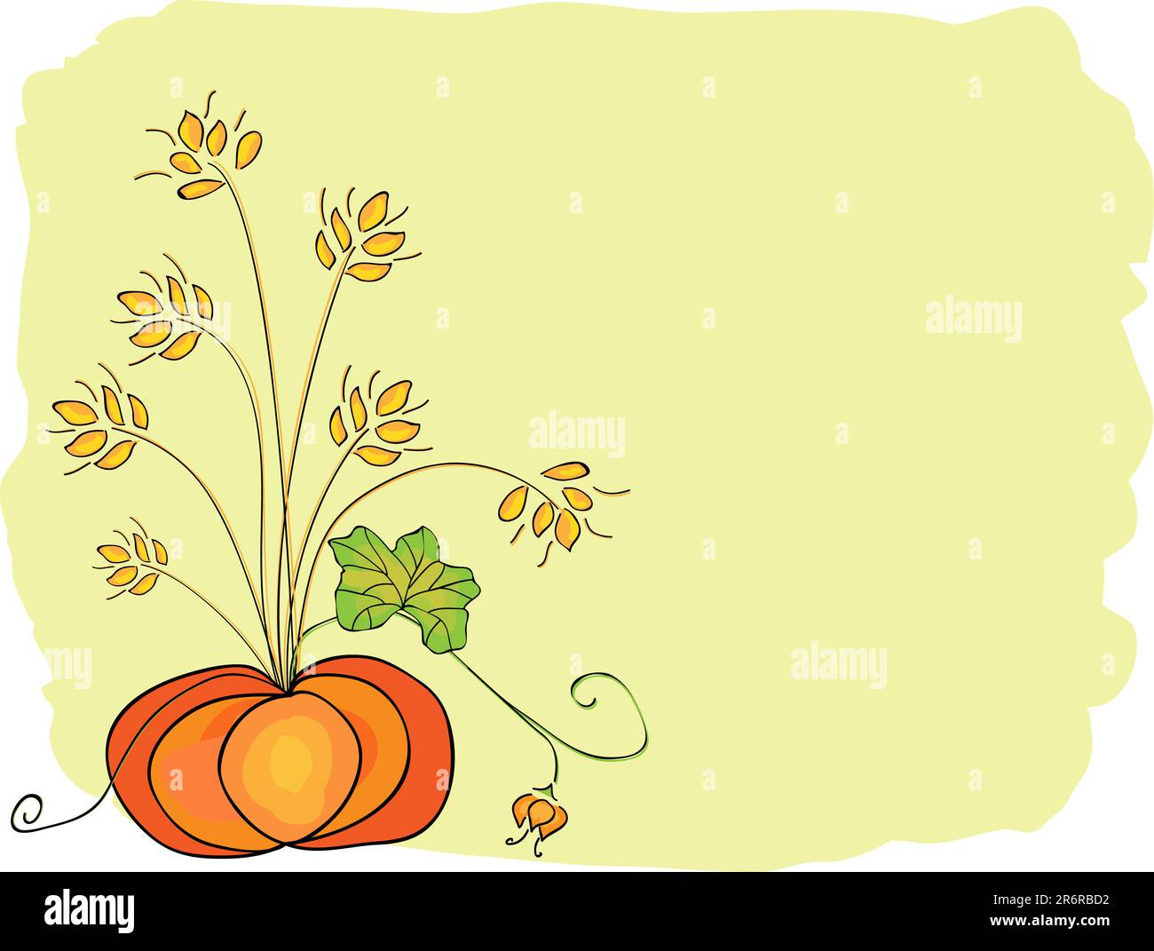 Vector picture of thanksgiving background with pumpkins and crop. RGB