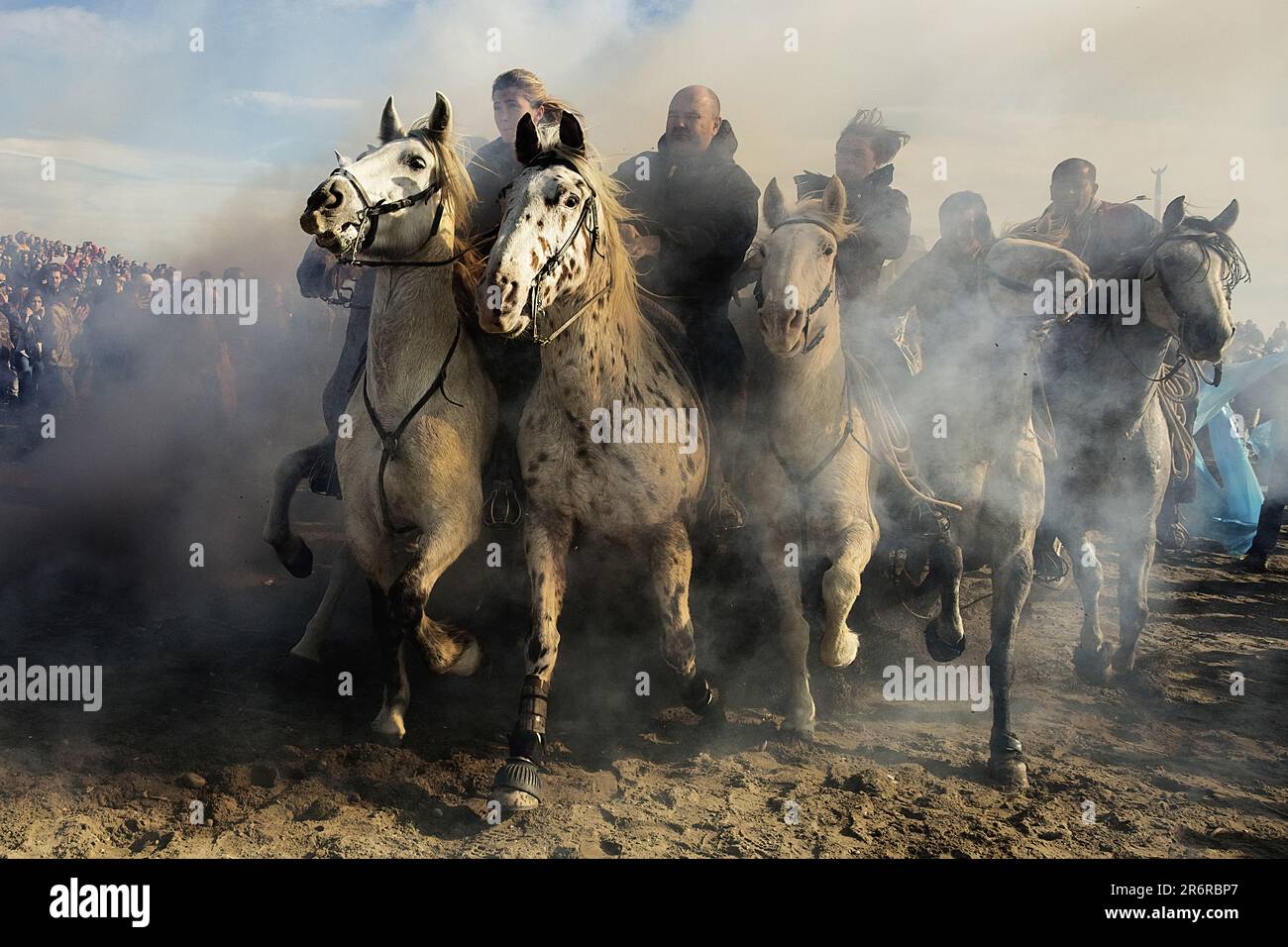 Abrivado, historical reenactment in the Camargue, France, Europe Stock Photo
