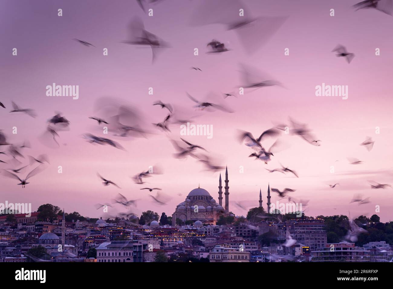 Istanbul cityscape - panoramic scenic view of Suleymaniye Mosque with flock of birds at sunset. Silhouettes of minarets on sunset, original and differ Stock Photo