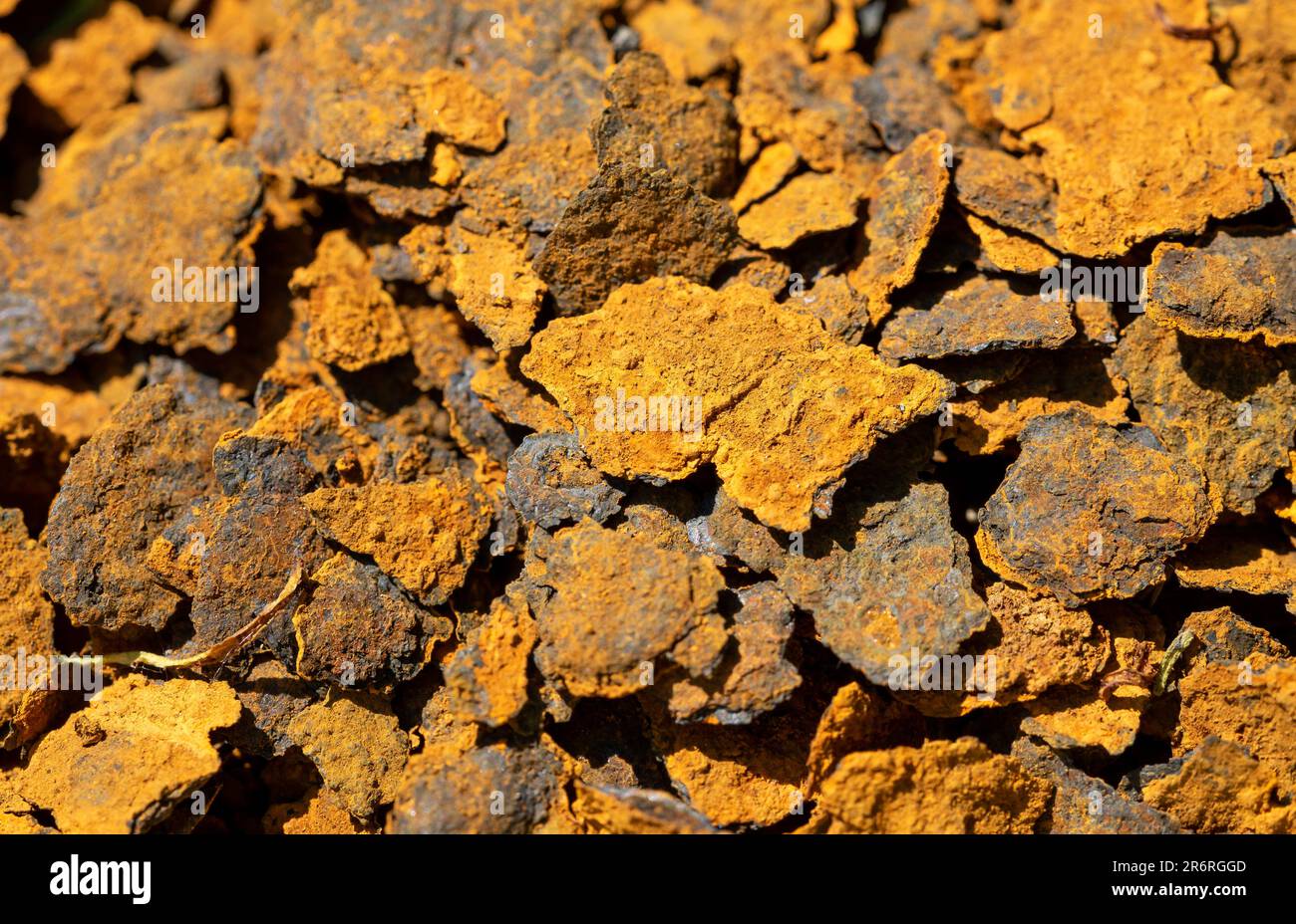 grunge rust background texture image Stock Photo