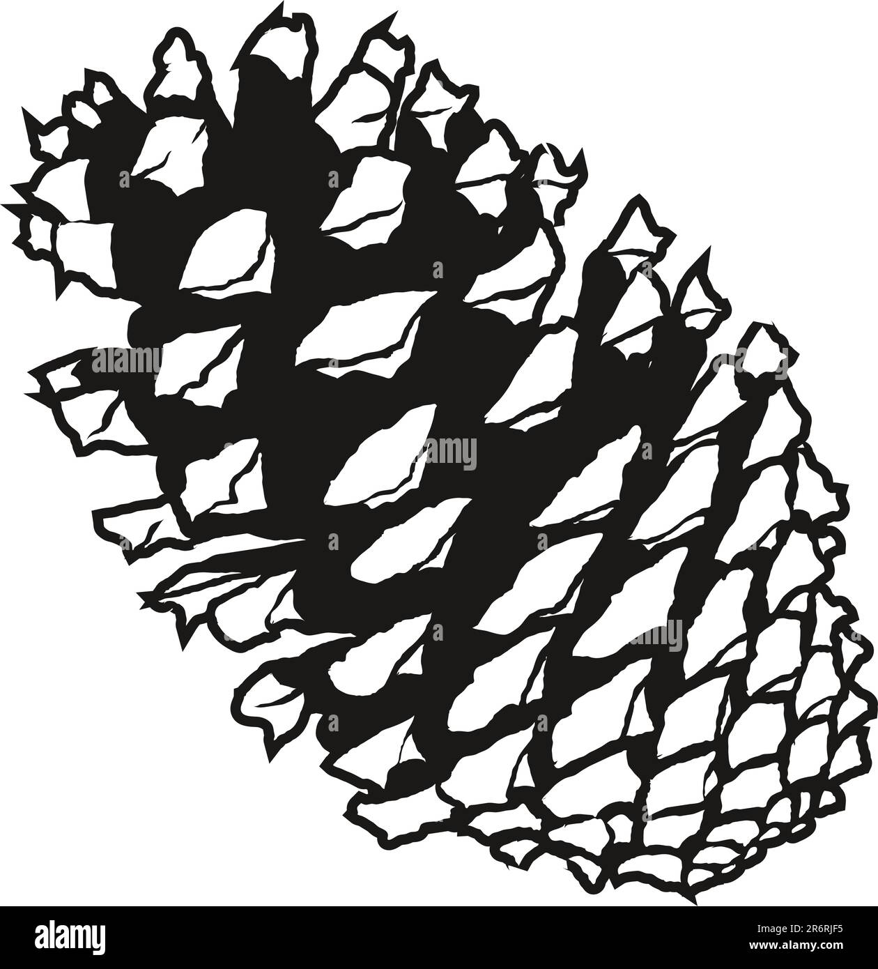 Detailed vector illustration of a pine cone Stock Vector
