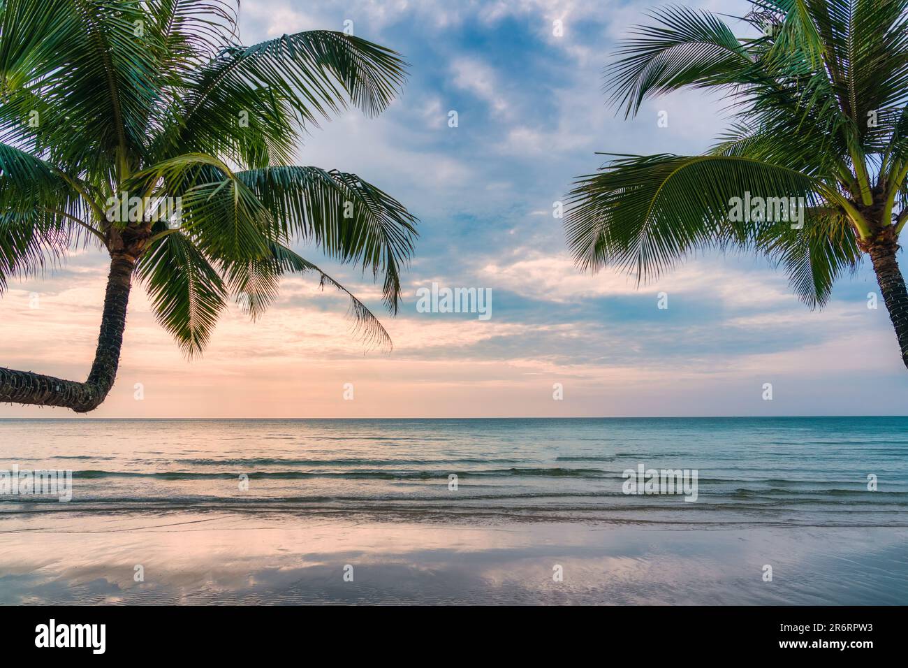 Beautiful sunset tree on sea hi-res stock photography and images - Alamy