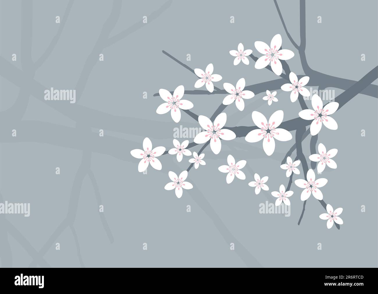 Vector Cherry Blossom Background Stock Vector Image & Art - Alamy