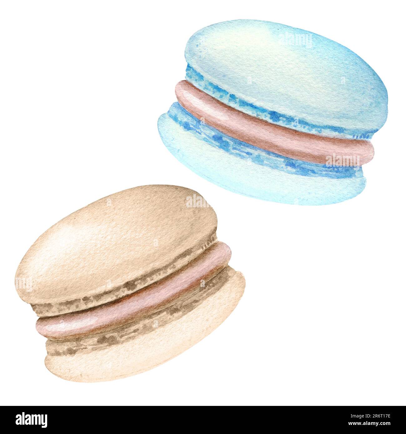 watercolor set of sweety cakes macaroons, hand darwn illustration of ...