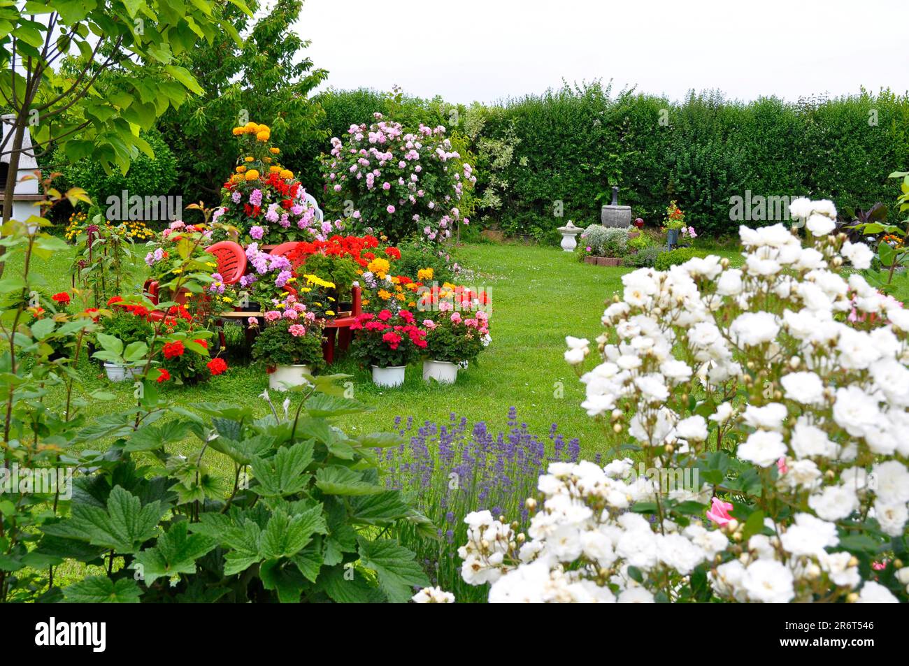 Pyramid of flowers in the garden, flowerpot with flowers, lawn, white roses in the garden Stock Photo