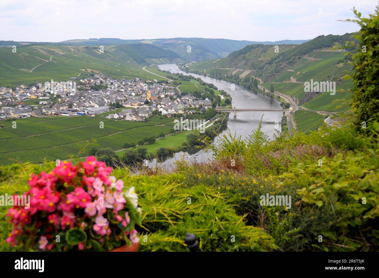 Rhineland-Palatinate, Minheim, Moselle, Moselle near Minheim, Bernkastel-Wittlich district, Moselle loop Stock Photo