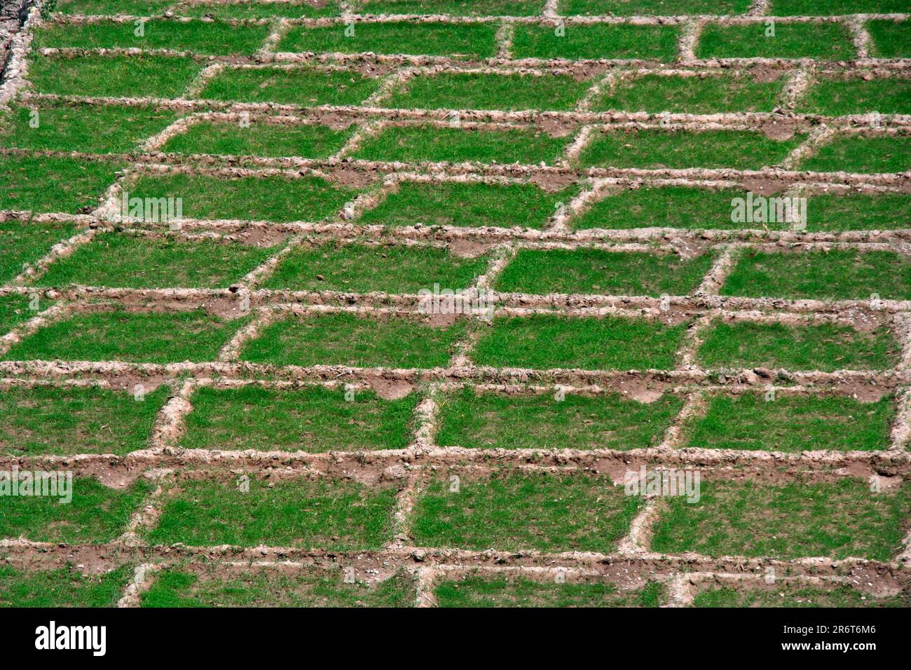 Agriculture land in the Middle Atlas near Berkine Morocco Stock Photo