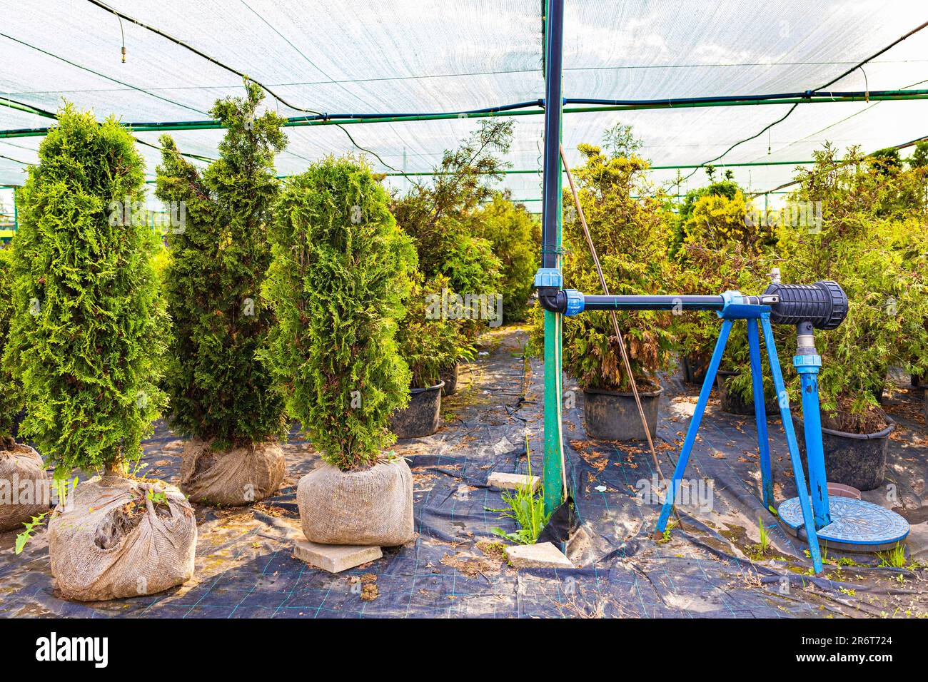 water irrigation system consisting of a pump and pipes in a plant