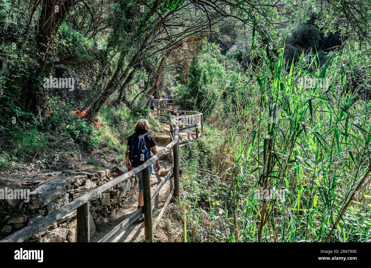 Path for walking between Monterosso and Vernazza Cinque Terre, Italy