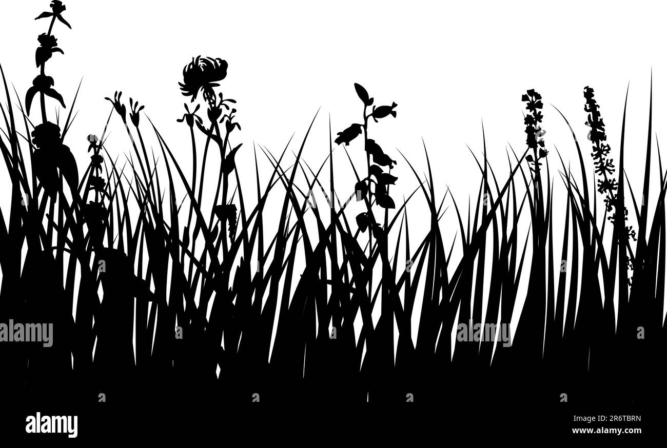Vector grass silhouettes background for design use Stock Vector Image ...