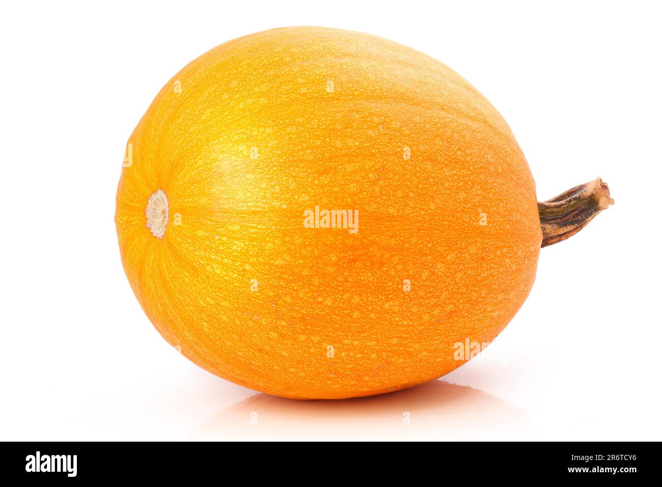 Ripe pumpkin vegetable isolated on white background Stock Photo - Alamy