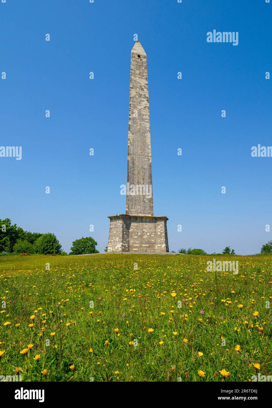 The Wellington Monument, Somerset, UK Stock Photo Alamy