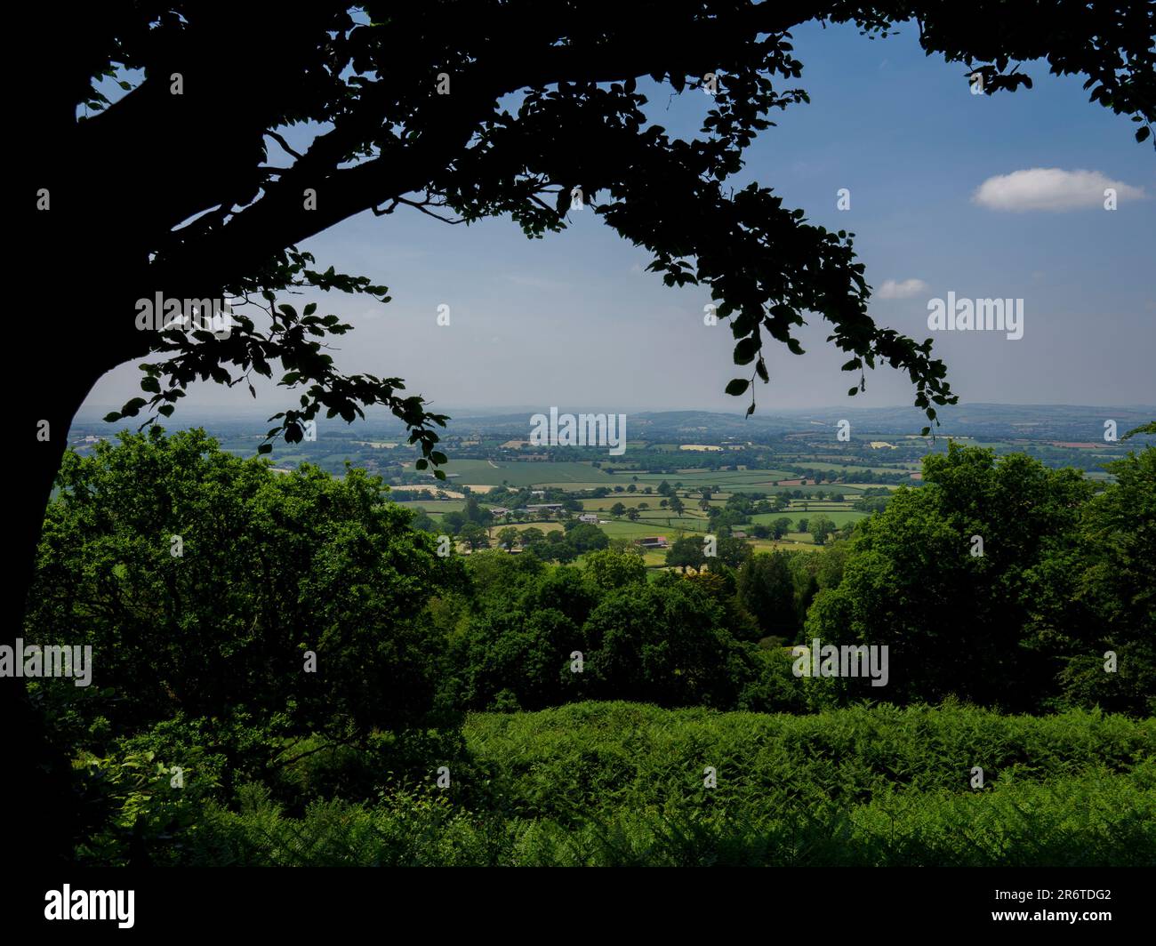 View over the Otter Valley from Hembury Hillfort, Payhembury, Devon, UK