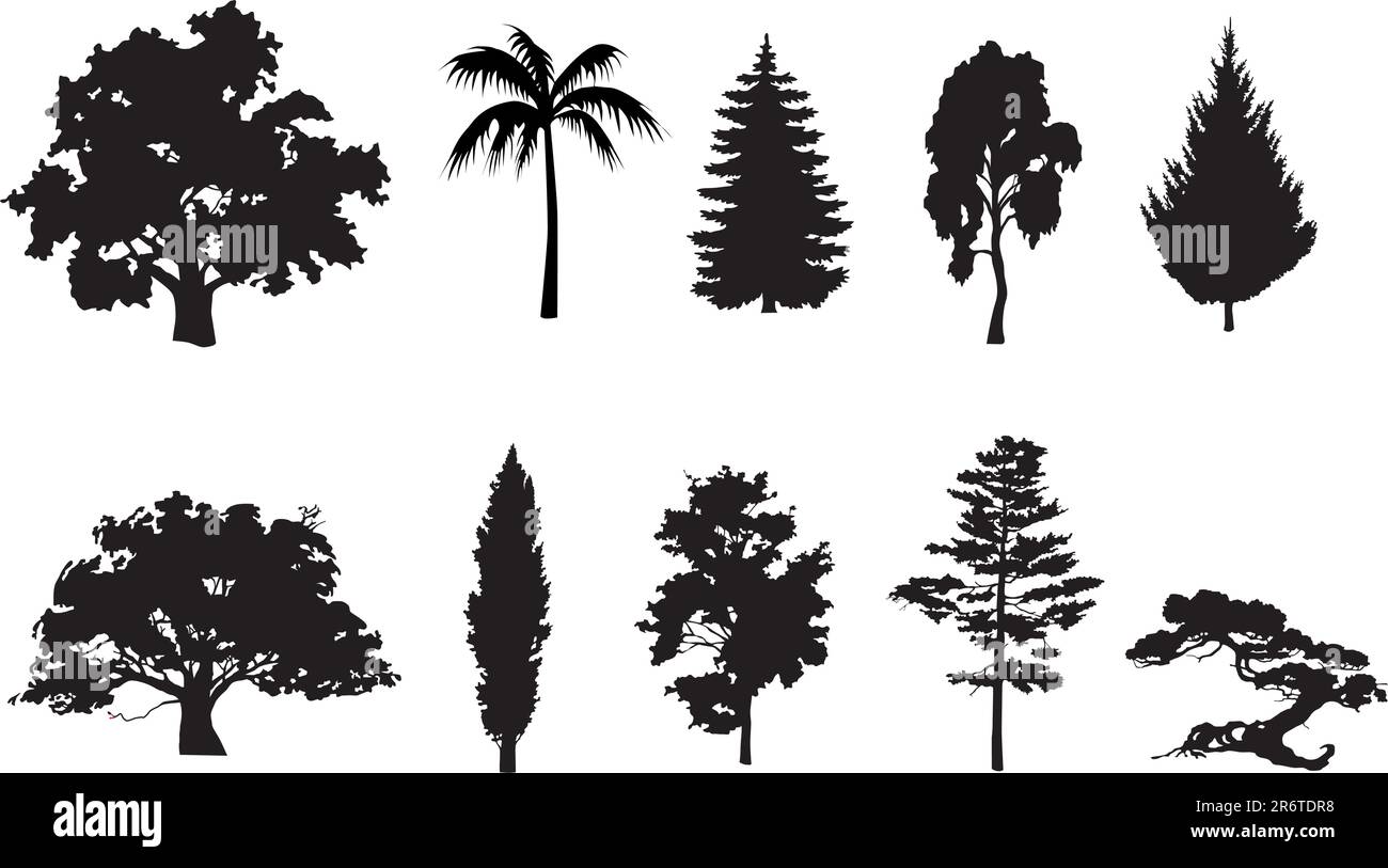 Vector silhouettes of trees silhouettes set Stock Vector Image & Art ...